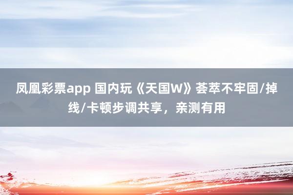 凤凰彩票app 国内玩《天国W》荟萃不牢固/掉线/卡顿步调共享，亲测有用
