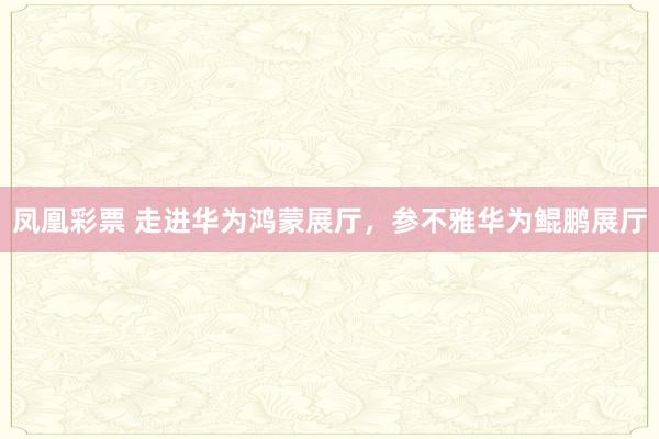 凤凰彩票 走进华为鸿蒙展厅，参不雅华为鲲鹏展厅