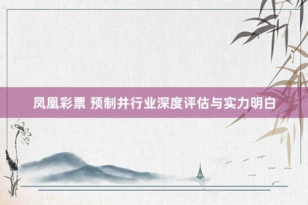 凤凰彩票 预制井行业深度评估与实力明白