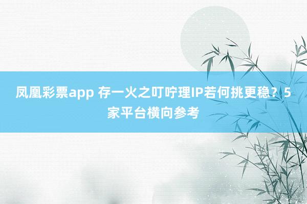 凤凰彩票app 存一火之叮咛理IP若何挑更稳？5家平台横向参考