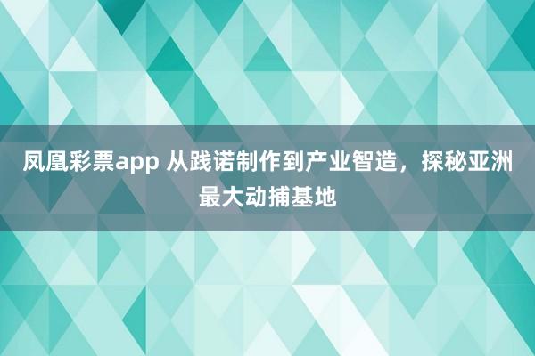 凤凰彩票app 从践诺制作到产业智造，探秘亚洲最大动捕基地