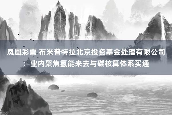 凤凰彩票 布米普特拉北京投资基金处理有限公司：业内聚焦氢能来去与碳核算体系买通