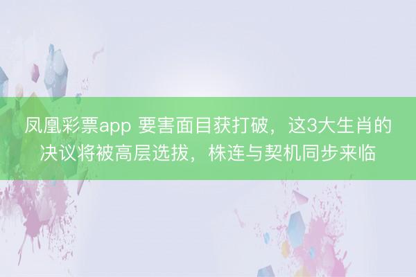 凤凰彩票app 要害面目获打破，这3大生肖的决议将被高层选拔，株连与契机同步来临