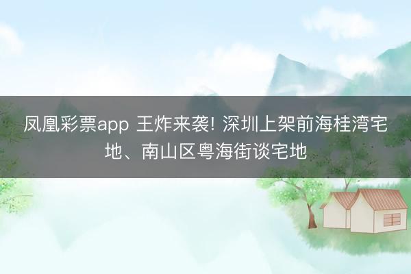 凤凰彩票app 王炸来袭! 深圳上架前海桂湾宅地、南山区粤海街谈宅地